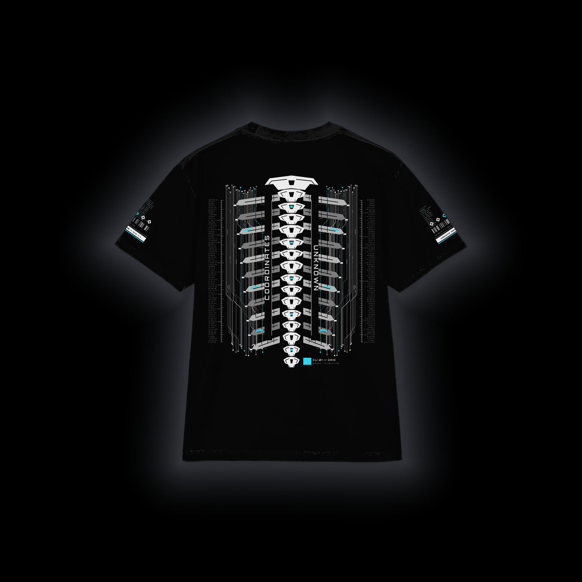 Coordinates Unknown Grid 01 heavyweight cotton tee, back view on black
